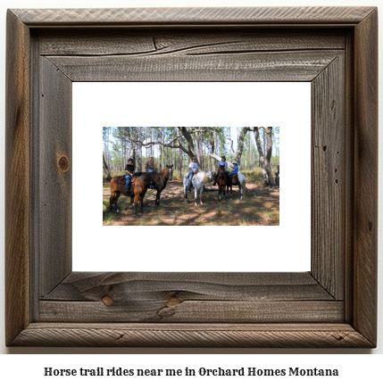 horse trail rides near me in Orchard Homes, Montana